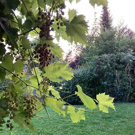 Appartamento Alkapa *