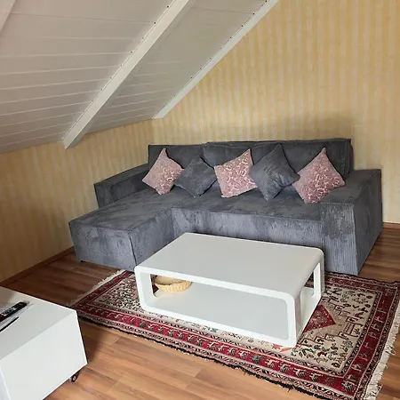 Alkapa * Хильцинген